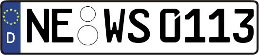 NE-WS0113