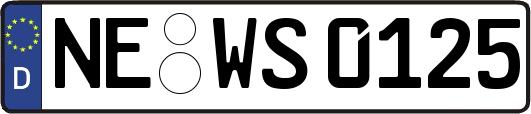 NE-WS0125
