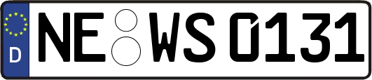 NE-WS0131