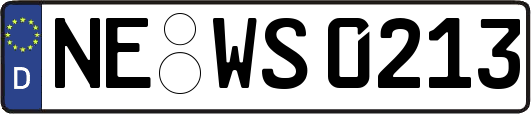 NE-WS0213