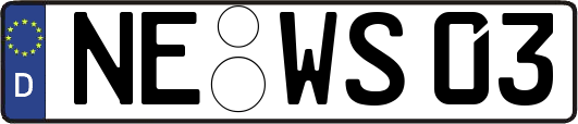 NE-WS03