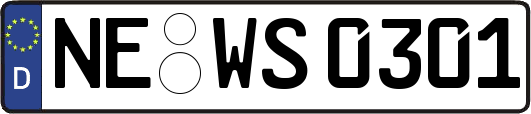NE-WS0301