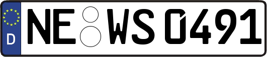 NE-WS0491