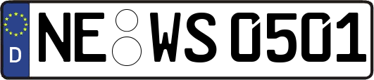 NE-WS0501