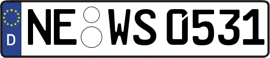 NE-WS0531