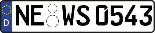 NE-WS0543