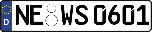 NE-WS0601