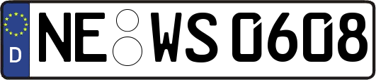 NE-WS0608