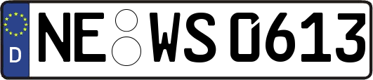 NE-WS0613