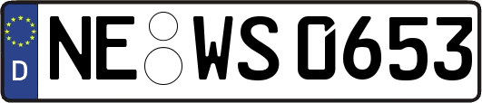 NE-WS0653