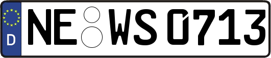 NE-WS0713