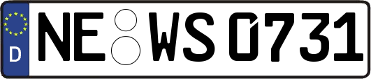 NE-WS0731