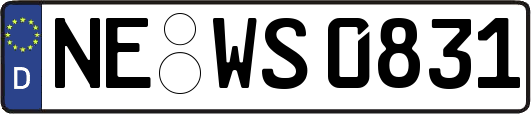 NE-WS0831