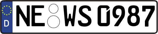 NE-WS0987