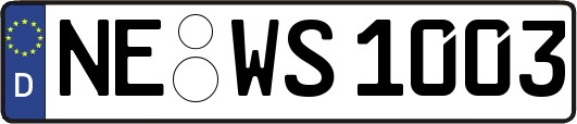 NE-WS1003