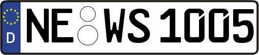 NE-WS1005