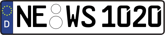 NE-WS1020