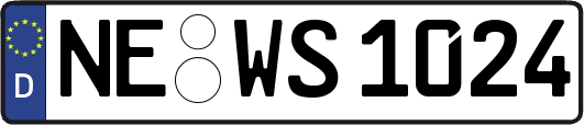 NE-WS1024