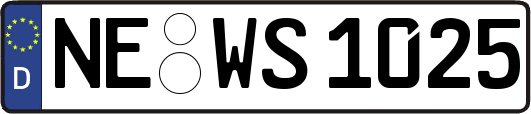 NE-WS1025