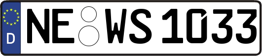 NE-WS1033