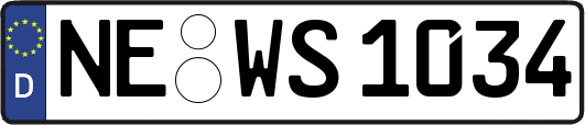 NE-WS1034