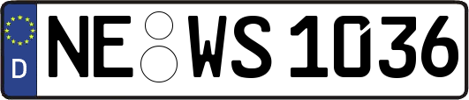 NE-WS1036