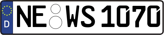 NE-WS1070