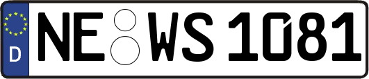 NE-WS1081