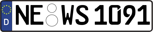 NE-WS1091