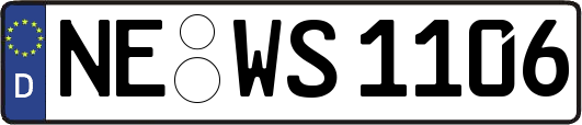 NE-WS1106