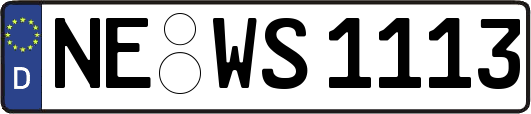 NE-WS1113