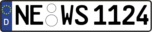 NE-WS1124