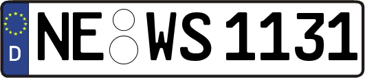 NE-WS1131