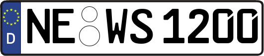 NE-WS1200