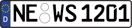 NE-WS1201