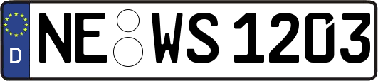 NE-WS1203