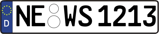 NE-WS1213