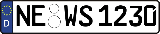NE-WS1230