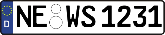 NE-WS1231