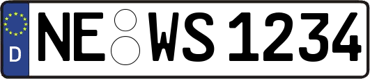 NE-WS1234