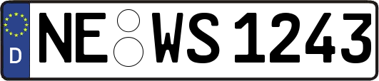 NE-WS1243