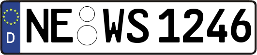 NE-WS1246