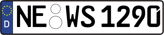 NE-WS1290