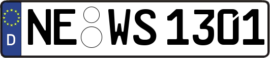 NE-WS1301
