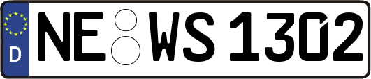 NE-WS1302
