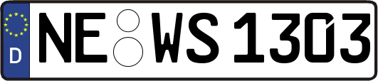 NE-WS1303