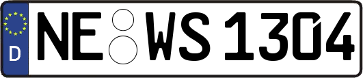 NE-WS1304