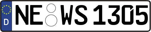 NE-WS1305
