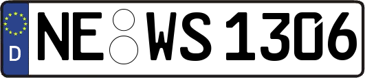 NE-WS1306