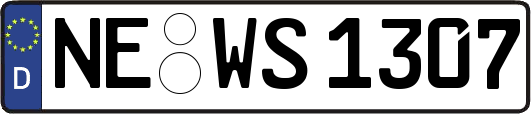 NE-WS1307